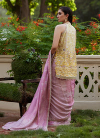 Iqala Saree, Blouse And Jacket Farah Talib Aziz