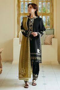 ARZOO-1B Zara Shahjahan