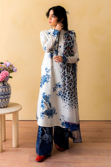 INDIGO-D3 Zara Shahjahan