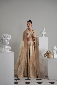 Tuscan Beige Timeless Lehnga Choli Set Wedding Edit 2024/2025 (NPA3-24428) Zaib