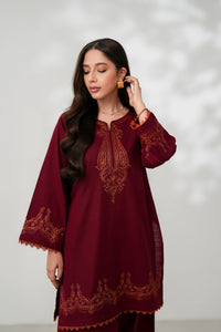 MERLOT LUXURY EMBROIDERED FALL SET (NPA2-24311 ) Zaib