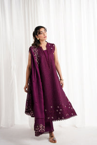 DEEP PLUM LUXURY EMBROIDERED 3PCS SET NPA3-25409 (EID 2025 READY TO WEAR)